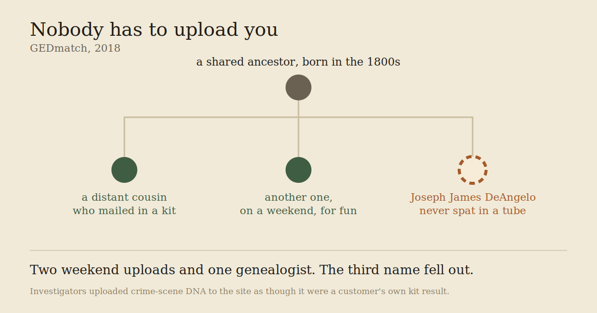 A family tree diagram: a shared ancestor born in the 1800s branches to three descendants, two of whom uploaded DNA kit results and are drawn as filled circles, while the third, Joseph James DeAngelo, never uploaded anything and is drawn as a dashed outline