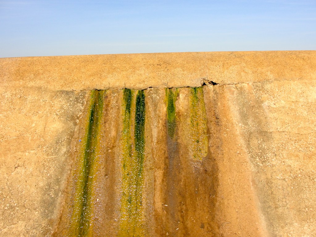 Green algae streaks running down a cracked concrete dam wall where water has found a way through